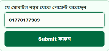 Payment mobile number submit form